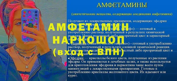молекула духа Волоколамск