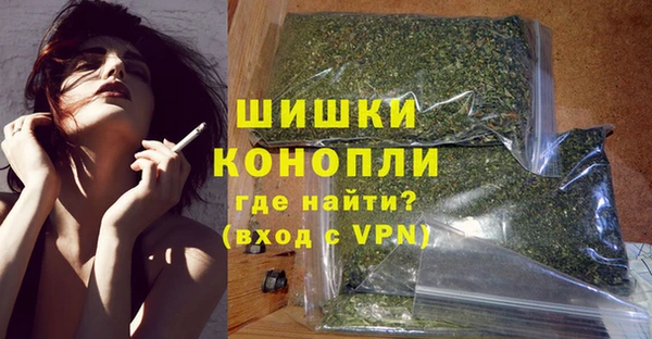 молекула духа Вязьма