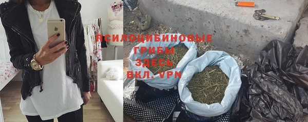 молекула духа Володарск