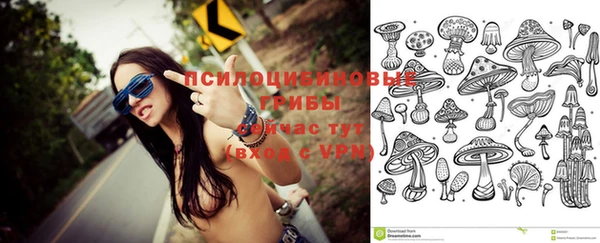 молекула духа Володарск