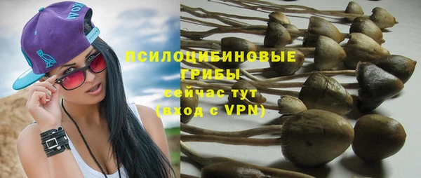 молекула духа Волоколамск